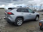 2020 Toyota Rav4 Le იყიდება Arlington-ში, WA - Rear End