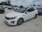 2014 Kia Optima Hybrid للبيع في Homestead، FL - Minor Dent/Scratches