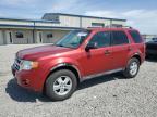 2012 Ford Escape Xlt for Sale in Earlington, KY - Hail