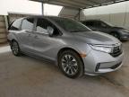 Anthony, TX에서 판매 중인 2022 Honda Odyssey Exl - Rear End
