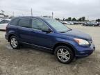 2010 Honda Cr-V Exl   იყიდება Los Angeles-ში, CA - Front End
