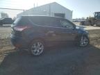 2013 Ford Escape Sel للبيع في Cicero، IN - Front End