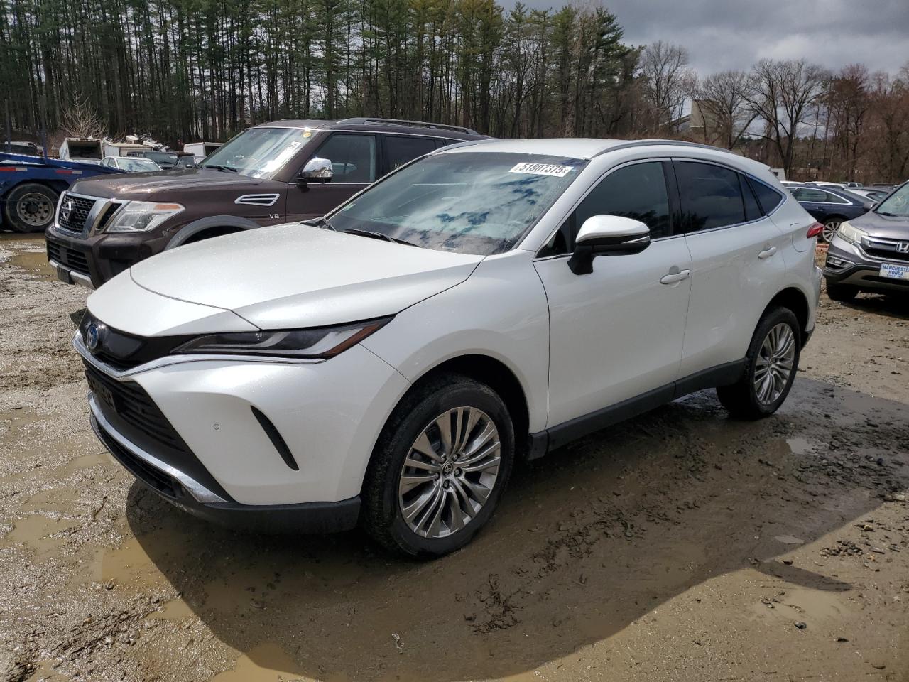 2023 Toyota Venza Le للبيع في North Billerica، MA - Side