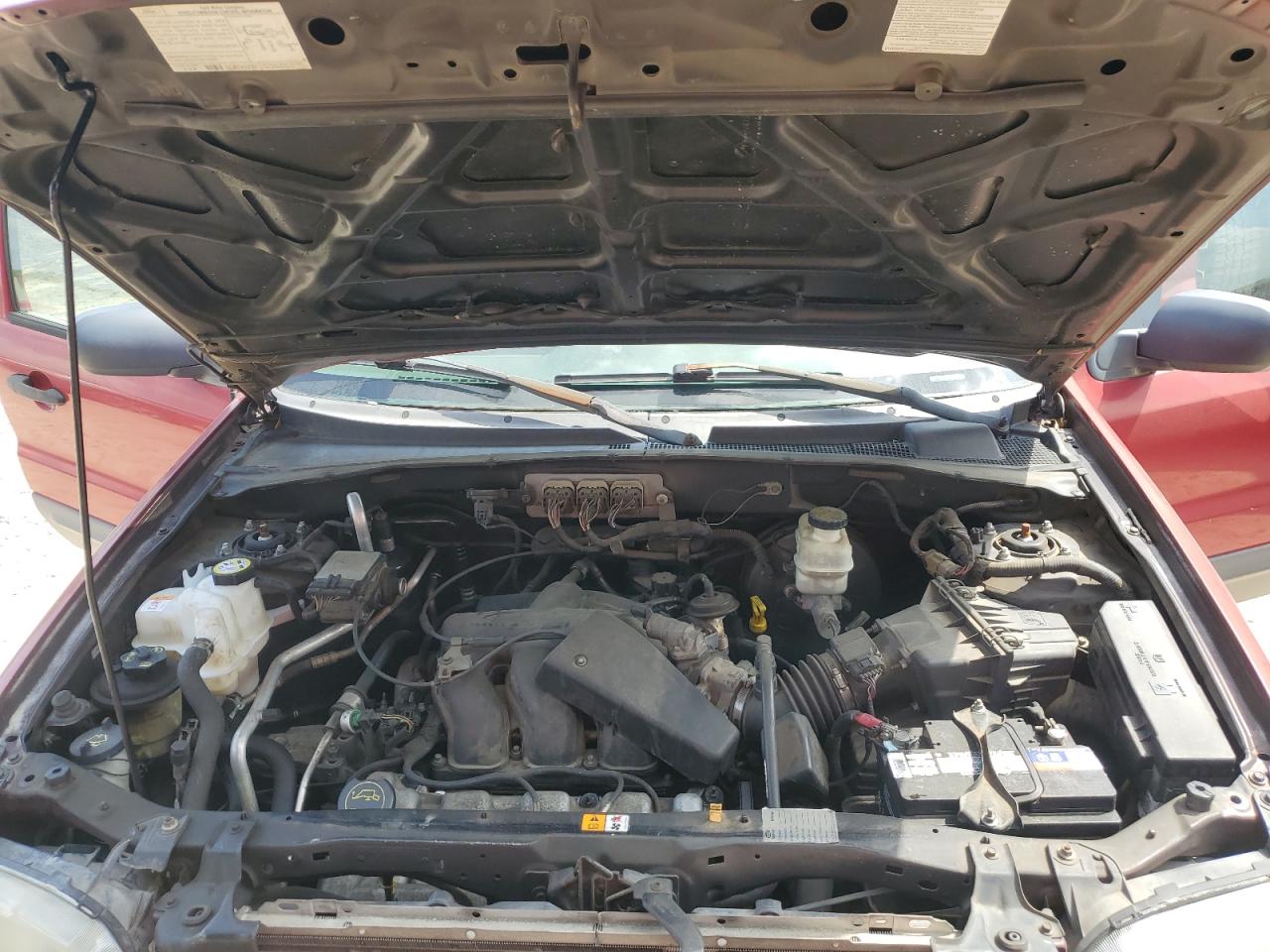 2006 Ford Escape Xlt VIN: 1FMYU03116KC24320 Lot: 54156365