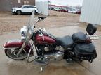 2004 Harley-Davidson Flstc  for Sale in Rapid City, SD - Rear End