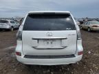 2019 Lexus Gx 460 for Sale in Elgin, IL - All Over