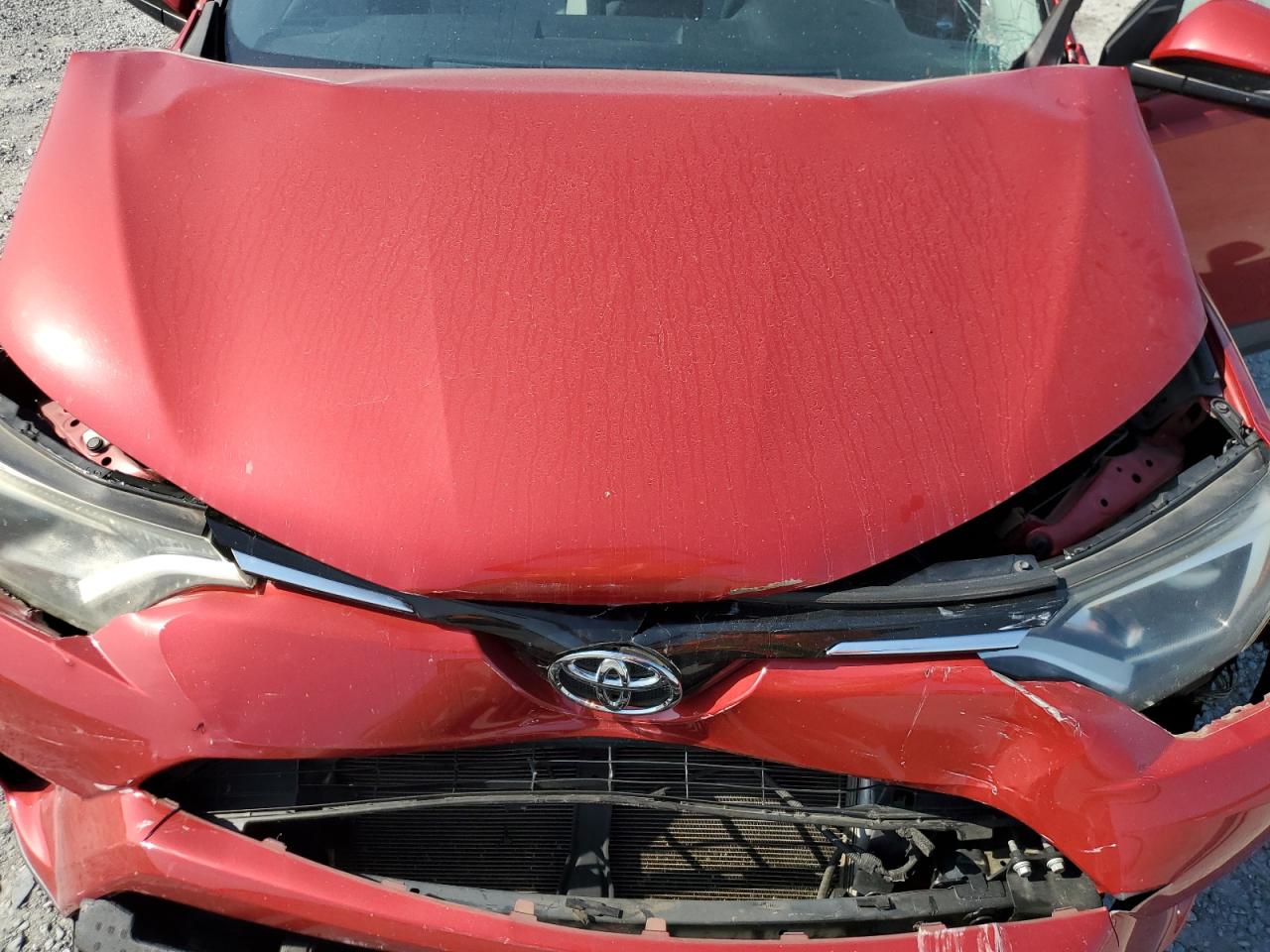 2016 Toyota Rav4 Xle VIN: 2T3RFREVXGW532490 Lot: 54697165