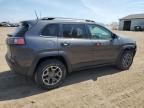 Davison, MI에서 판매 중인 2020 Jeep Cherokee Trailhawk - Front End