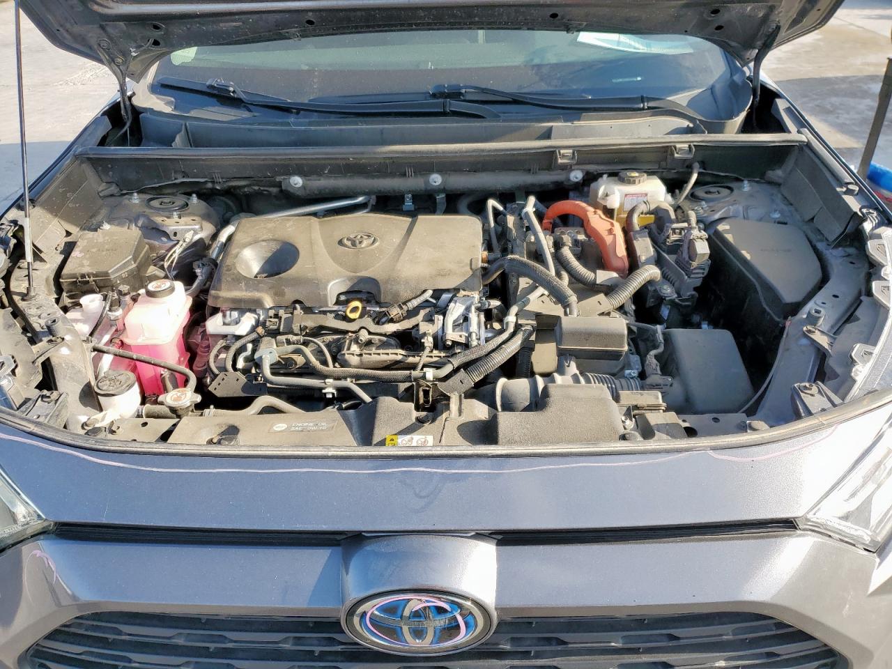 2021 Toyota Rav4 Xle VIN: 4T3RWRFV0MU020683 Lot: 53567475