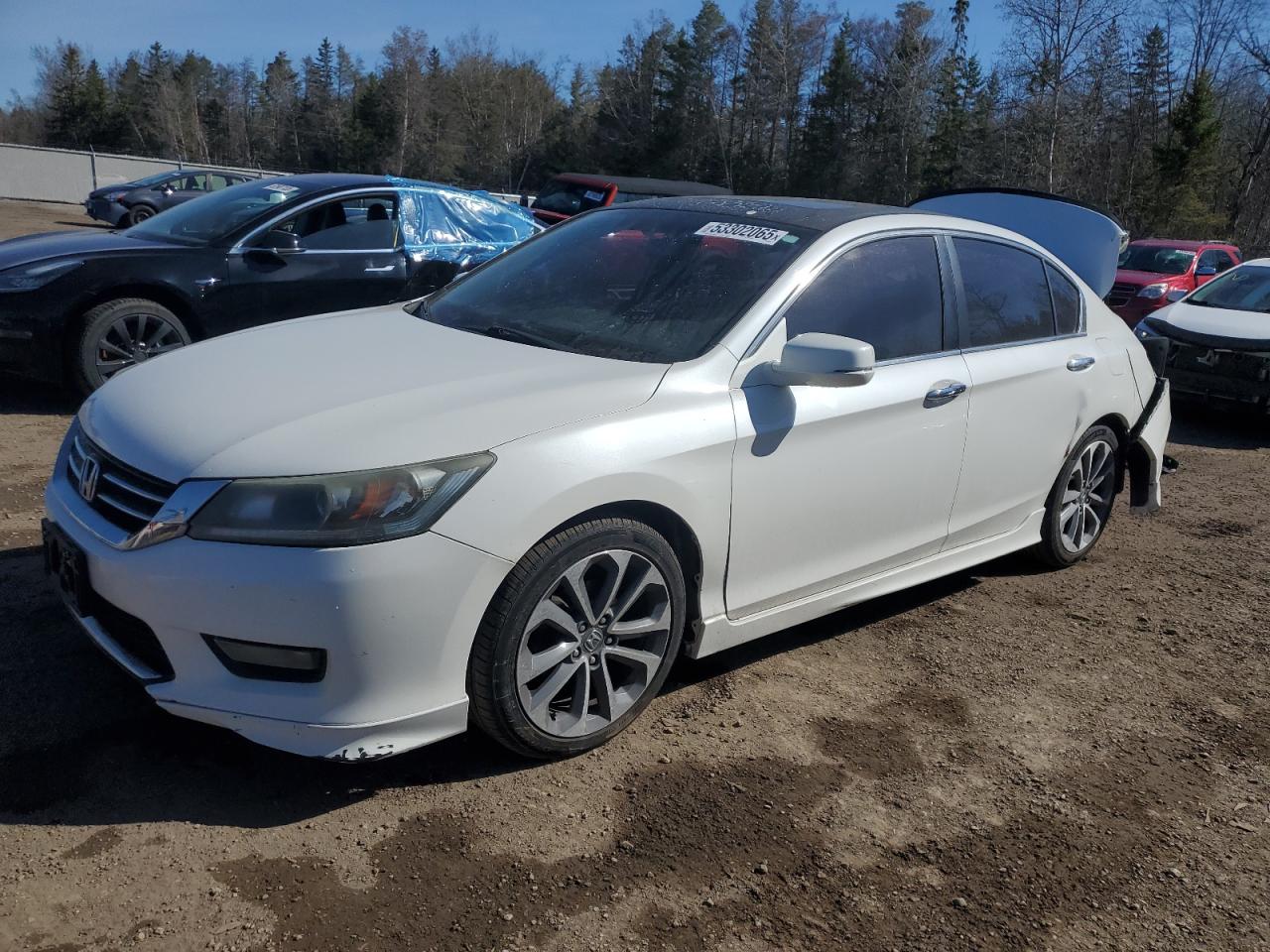 2015 Honda Accord Sport for Sale in Cookstown, ON - Rear End