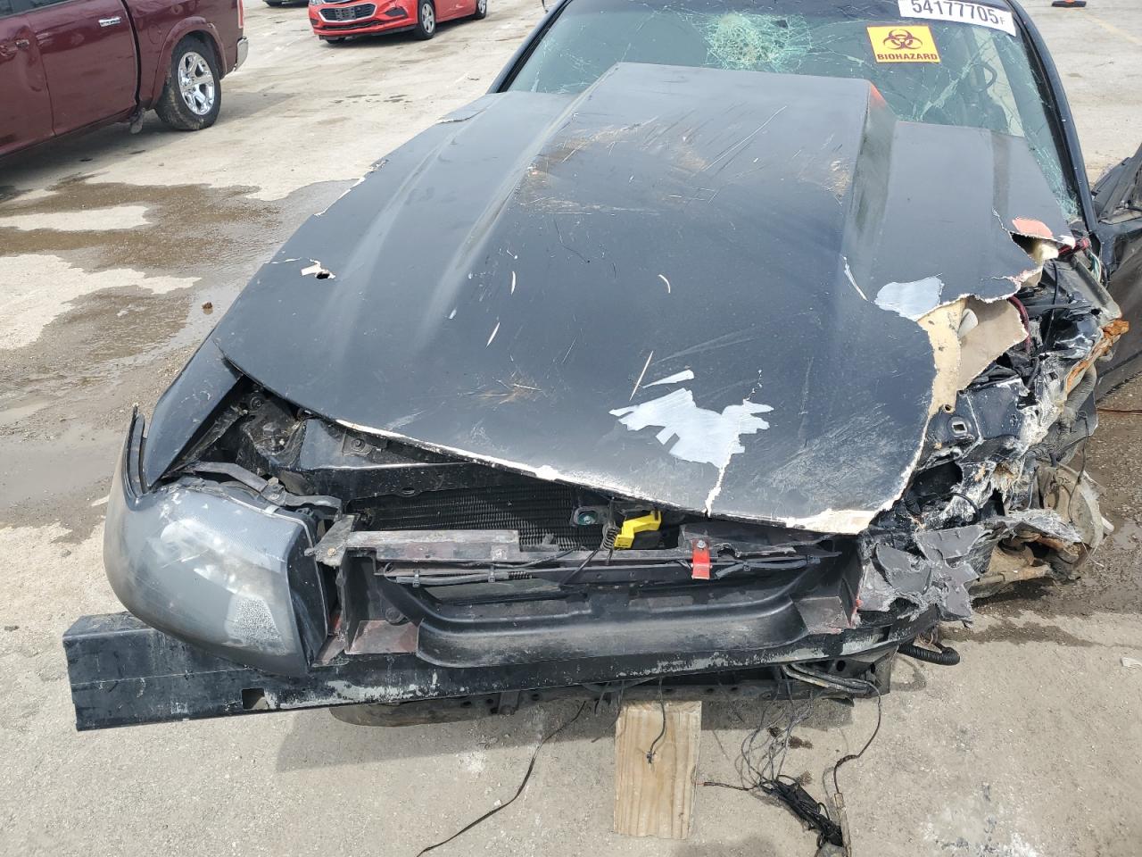 2000 Ford Mustang Gt VIN: 1FAFP42X7YF231323 Lot: 54177705
