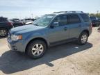 2012 Ford Escape Limited იყიდება Indianapolis-ში, IN - Minor Dent/Scratches