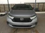 Anthony, TX에서 판매 중인 2022 Honda Odyssey Exl - Rear End