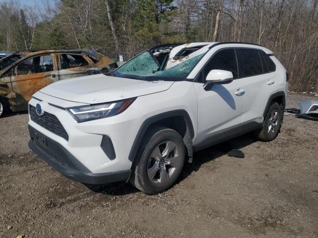 2023 TOYOTA RAV4 XLE for sale at Copart ON - COOKSTOWN