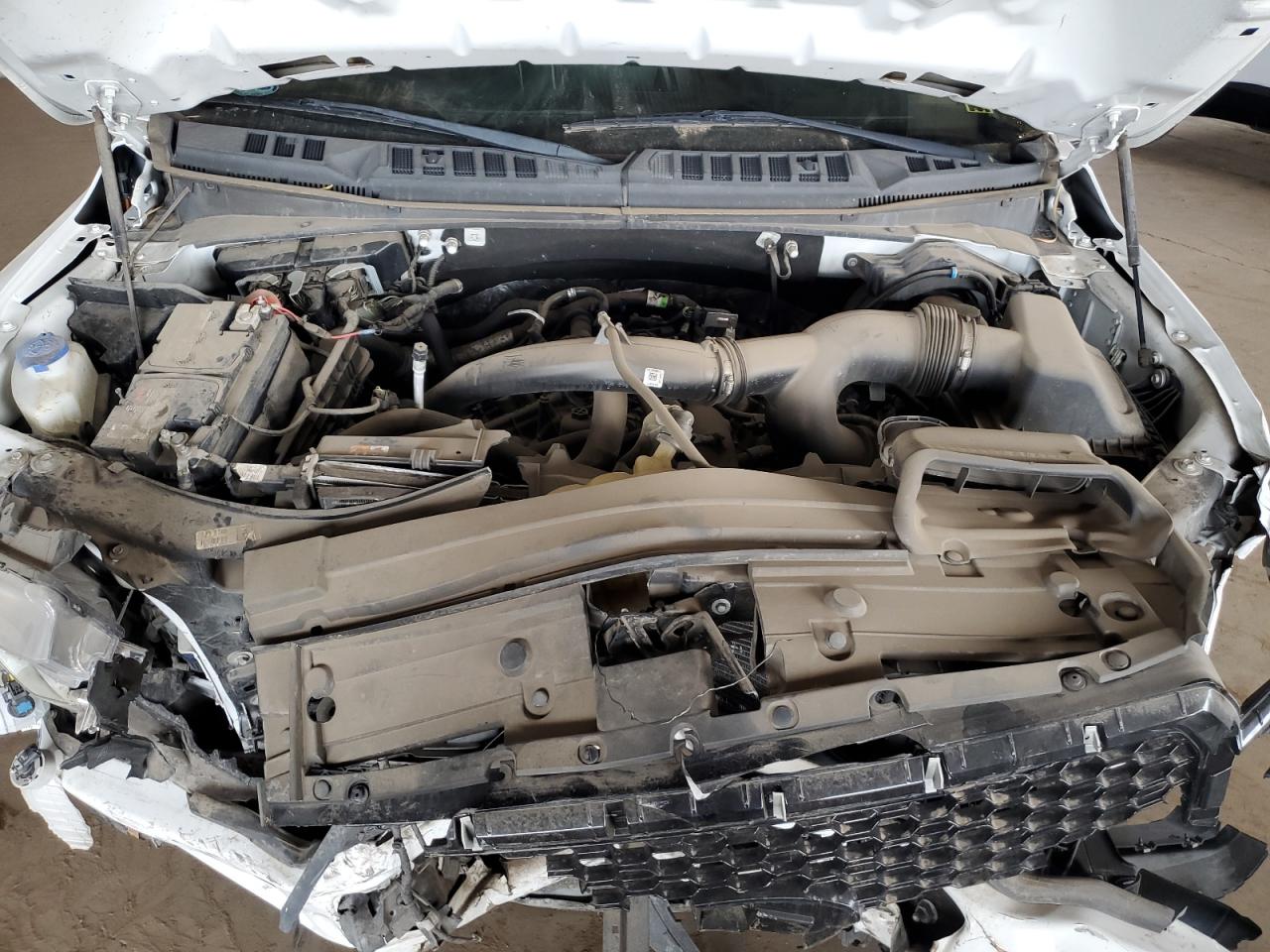 1FTEW1EP1KKD58344 FORD F-150 2019