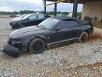 2003 Ford Mustang  en Venta en Tanner, AL - Front End