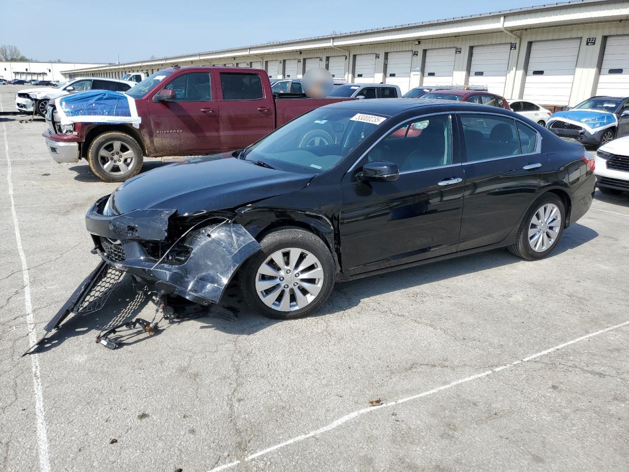 2013 Honda Accord Exl للبيع في Louisville، KY - Front End