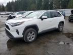 2023 Toyota Rav4 Xle იყიდება Arlington-ში, WA - Rear End