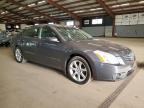 East Granby, CT에서 판매 중인 2008 Nissan Maxima Se - Minor Dent/Scratches