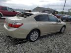 2014 Honda Accord Exl на продаже в Louisville, KY - Hail