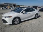 2019 Toyota Camry L იყიდება Earlington-ში, KY - Hail