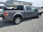2010 Ford F150 Supercrew продається в Earlington, KY - Hail