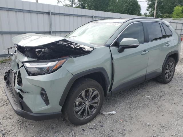  TOYOTA RAV4 2023 Zielony