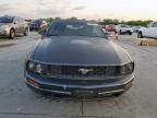 2008 Ford Mustang  en Venta en Grand Prairie, TX - Normal Wear