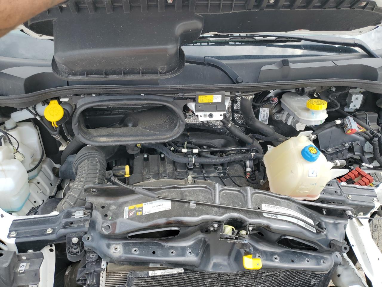 2023 Ram Promaster 2500 2500 High VIN: 3C6LRVDG5PE511607 Lot: 53113945