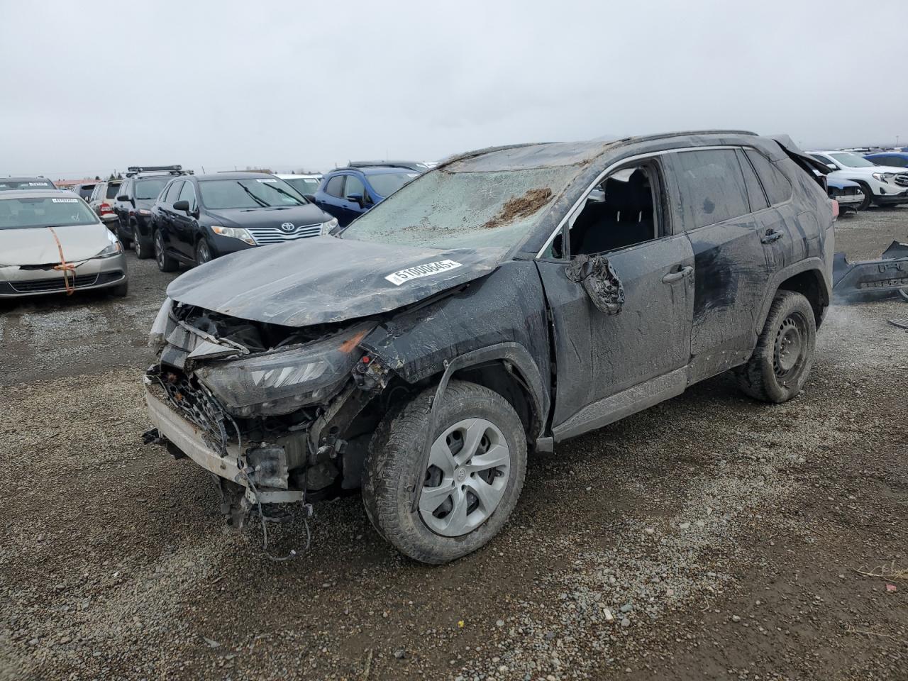 2019 Toyota Rav4 Le zu verkaufen in Helena, MT - Rear End