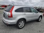 2010 Honda Cr-V Exl   zu verkaufen in Earlington, KY - Hail