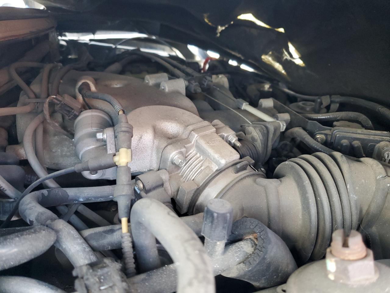 2004 Ford Mustang VIN: 1FAFP44644F181169 Lot: 54795395