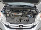 2010 Honda Cr-V Exl   zu verkaufen in Earlington, KY - Hail