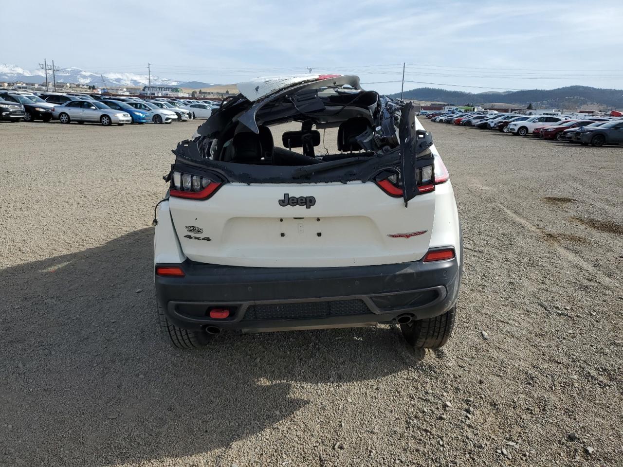 2019 Jeep Cherokee Trailhawk VIN: 1C4PJMBX6KD391051 Lot: 52391435