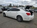 2014 Kia Cadenza Premium for Sale in Pennsburg, PA - Rear End