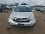 2010 Honda Cr-V Exl en Venta en New Britain, CT - Minor Dent/Scratches