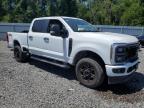 2024 Ford F250 Super Duty zu verkaufen in Riverview, FL - Rear End
