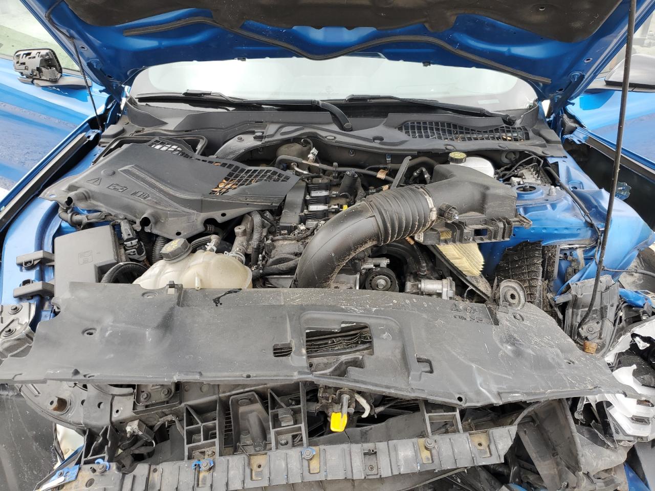 1FA6P8TH0M5104167 FORD ALL Models 2021