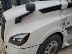 2021 Freightliner Cascadia 126 Semi Truck for Sale in San Antonio, TX - All Over