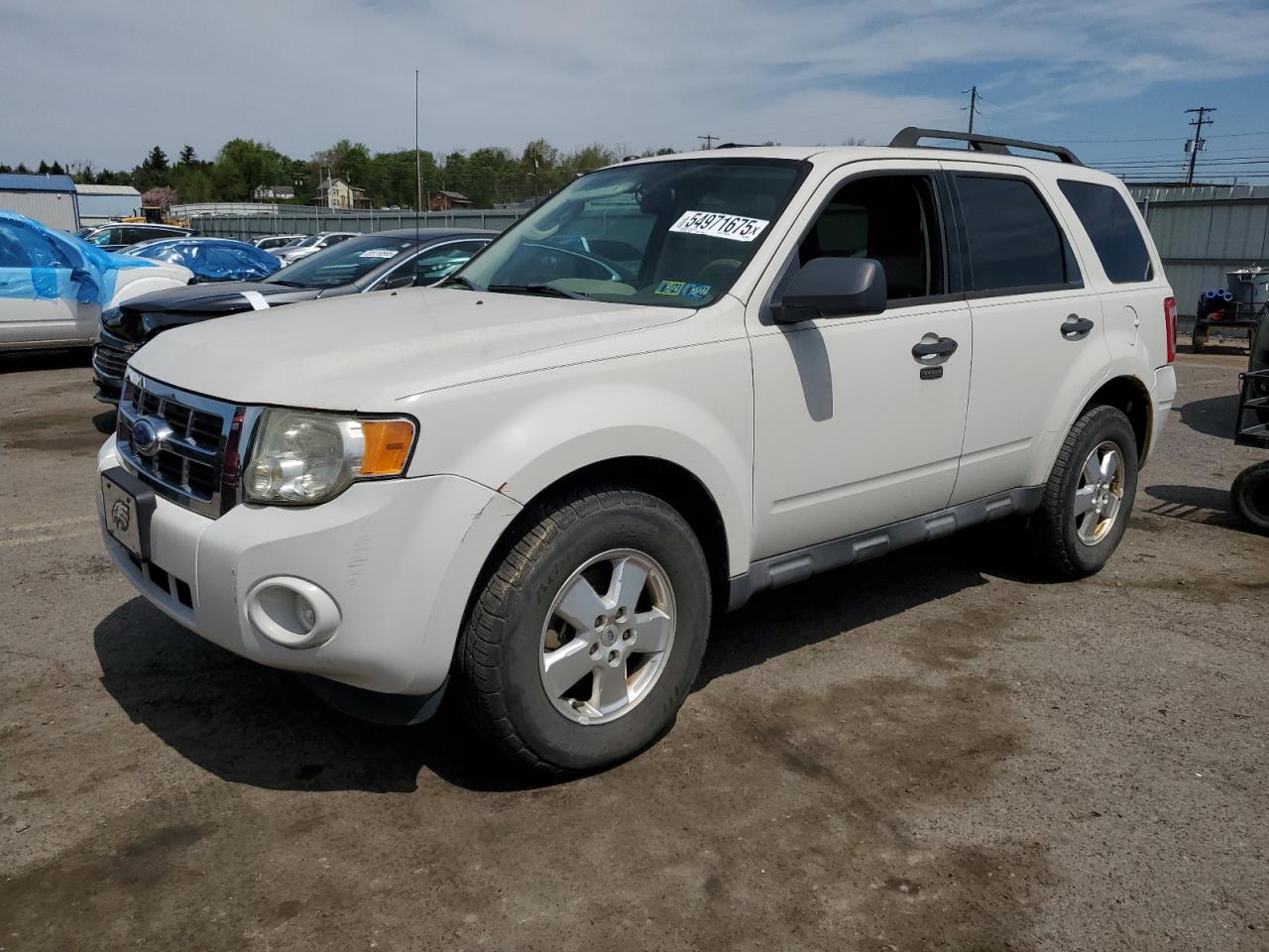 2011 Ford Escape Xlt VIN: 1FMCU0DG1BKC01689 Lot: 54971675