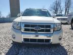 2012 Ford Escape Limited for Sale in Wayland, MI - Front End