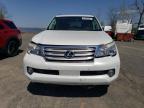 2011 Lexus Gx 460 на продаже в Marlboro, NY - Side