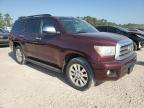 Houston, TX에서 판매 중인 2010 Toyota Sequoia Platinum - Minor Dent/Scratches