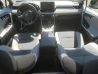 2019 Toyota Rav4 Xle en Venta en East Granby, CT - Rear End