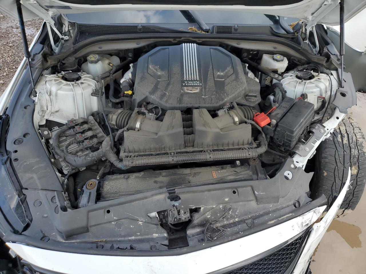 2024 Cadillac Ct5-V VIN: 1G6DR5RW9R0110931 Lot: 54450955