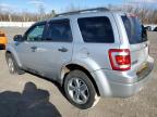 2011 Ford Escape Xlt за продажба в Leroy, NY - Normal Wear