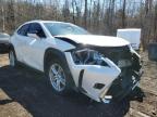 2021 LEXUS UX 250H for sale at Copart ON - COOKSTOWN
