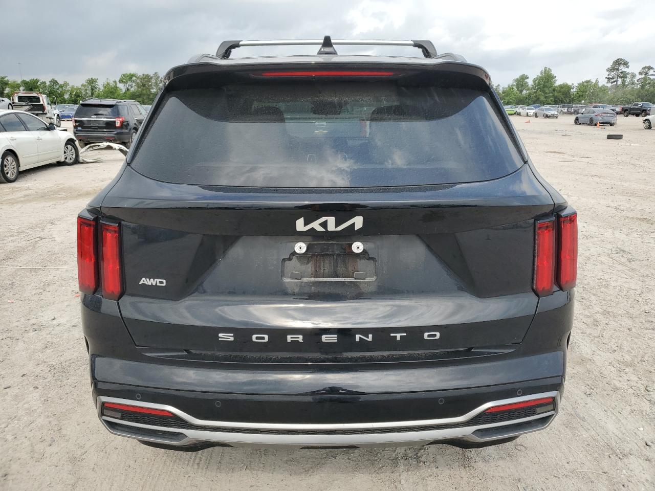 2022 Kia Sorento Sx VIN: 5XYRKDLF4NG078744 Lot: 55045245