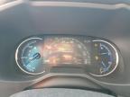 2025 Toyota Rav4 Xle للبيع في Riverview، FL - Rear End