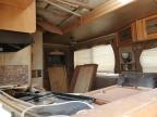 2013 Puma Puma for Sale in Andrews, TX - All Over